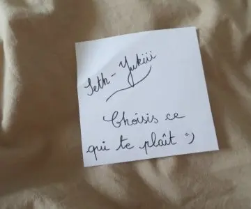 Choisis ce que tu souhaites, Inconnue