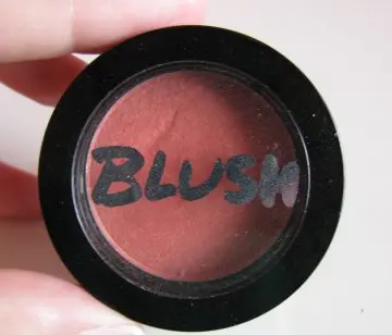Blush Modelco, ModelCo