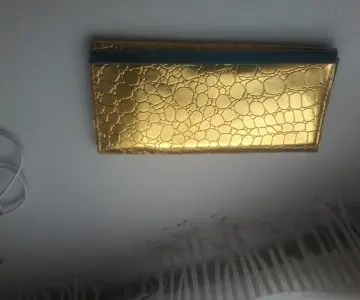 porte feuille doré, Inconnue