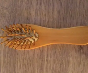Brosse en bambou, Inconnue