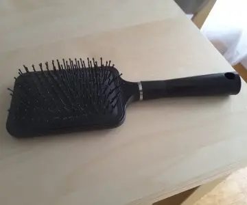 Grande brosse, Neant