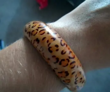 Bracelet léopard, Inconnue