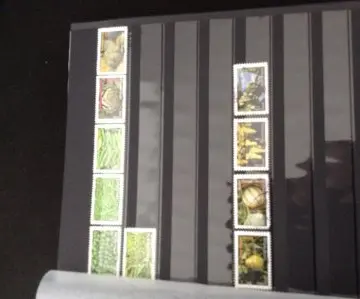 Timbres, Inconnue