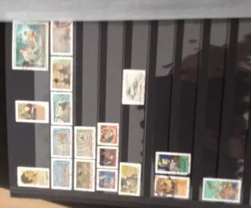 Timbres, Inconnue