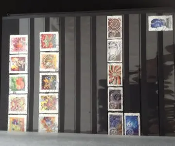Timbres, Inconnue