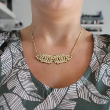 Collier Doré, Inconnue