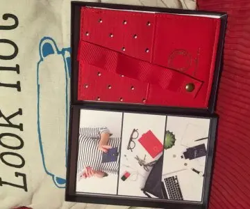 Pochette portable, Inès de la Fressange