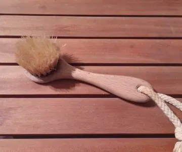 Brosse nettoyante, Inconnue