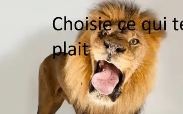 CHOISIE, Inconnue