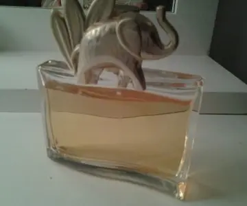 Jungle, Kenzo