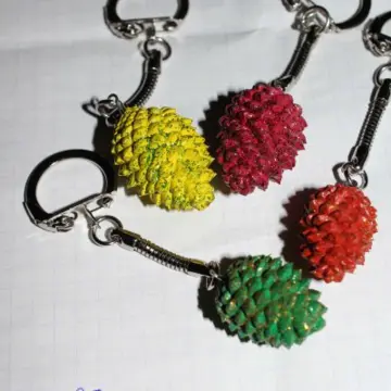 Portes clefs pomme de pin, Inconnue