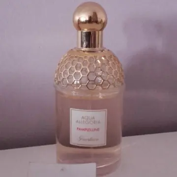 Pamplelune Guerlain, Guerlain