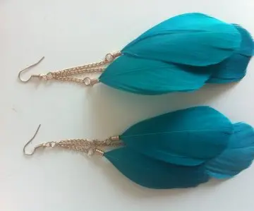 Boucles plumes, Inconnue
