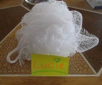 bain de bouche, Inconnue