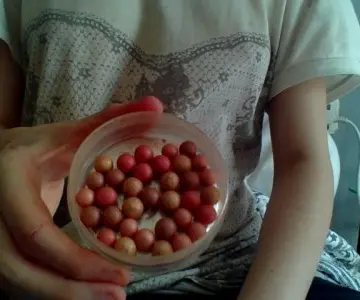 Perles de teint, Miss Eden