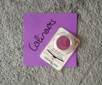 Ombre a paupières, Bourjois