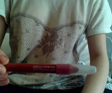 Crayon lèvres, Gemey Maybelline