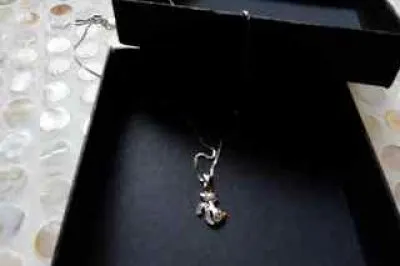 Photo 1 de Collier zircon chat