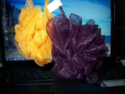 Photo 1 de fleurs de douche