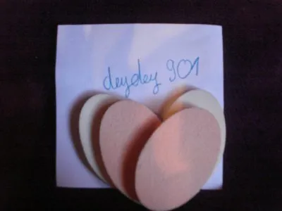 Photo 1 de Eponges