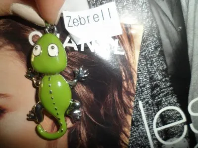 Pendentif lézard, Cache cache