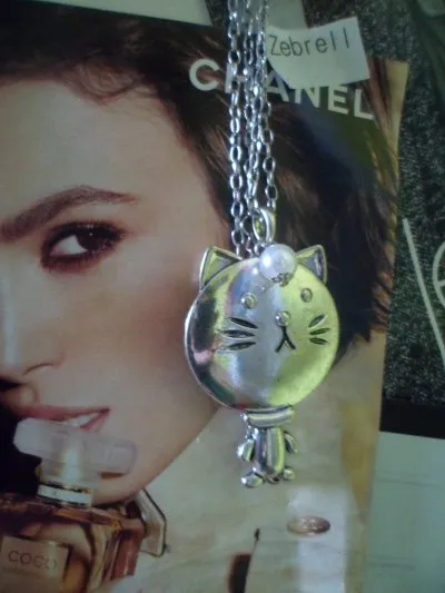 Collier chat, Cache cache