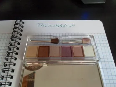 Palette Clinique, Clinique