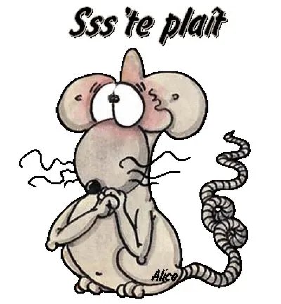 Choisis ce qui te plait, Inconnue