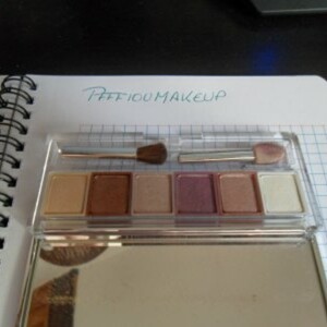 Palette Clinique