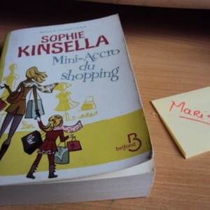 mini accro du shopping