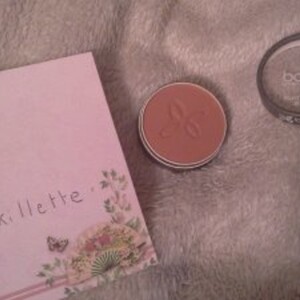 Blush poudre BIO