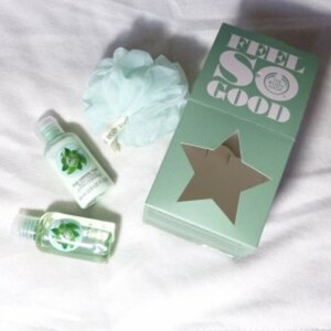 Coffret Fuji Green Tea