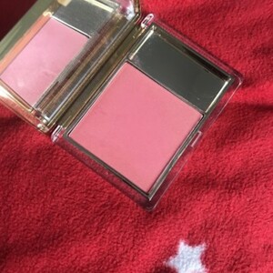 Pure color Blush