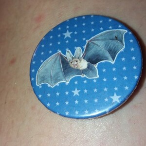 Pin s