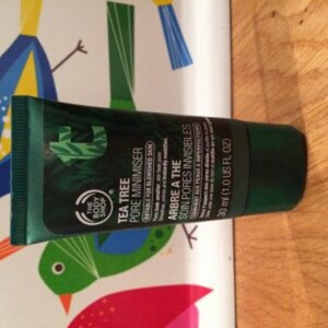 Pore minimiser