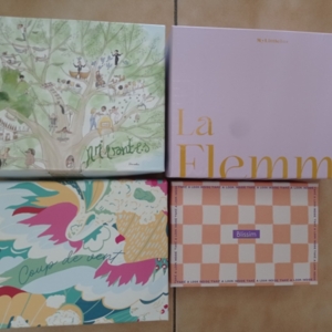 Lot de 4 boîtes vides "My Little Box" & "Birchbox"