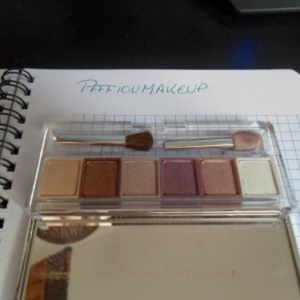 Palette Clinique