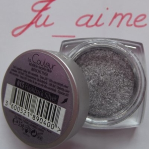 Color Infaillible n°015 Flashback Silver