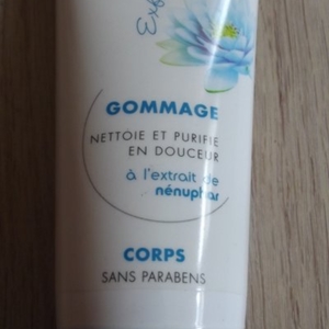 Gommage Corps