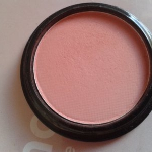 Blush rose pale