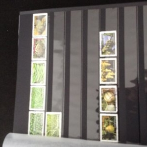 Timbres