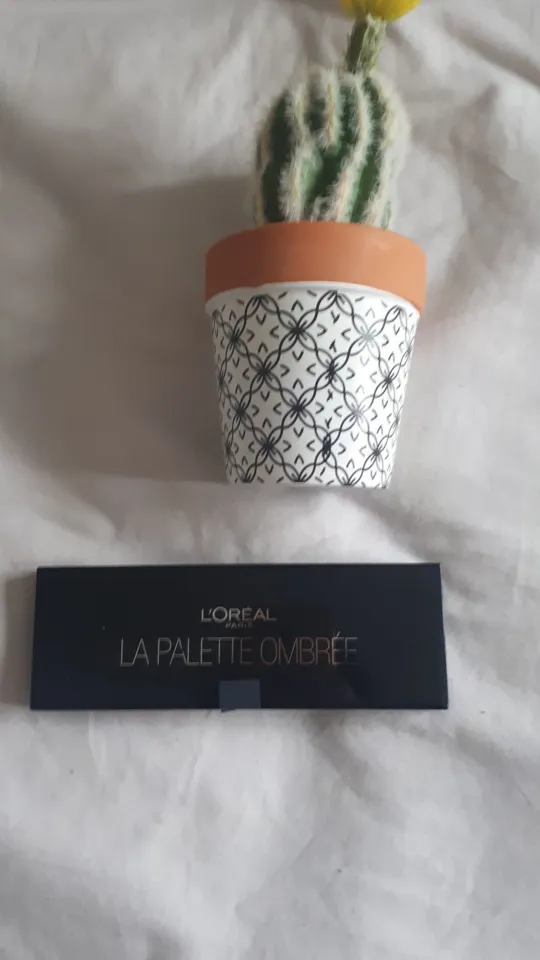 Palette ombrée l'oréal, L'Oréal