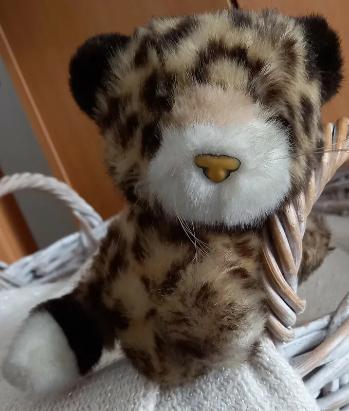 Peluche chat., Le chat