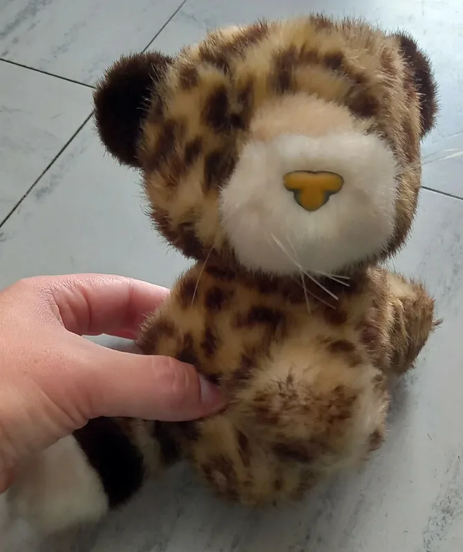 Photo 2 de Peluche chat.