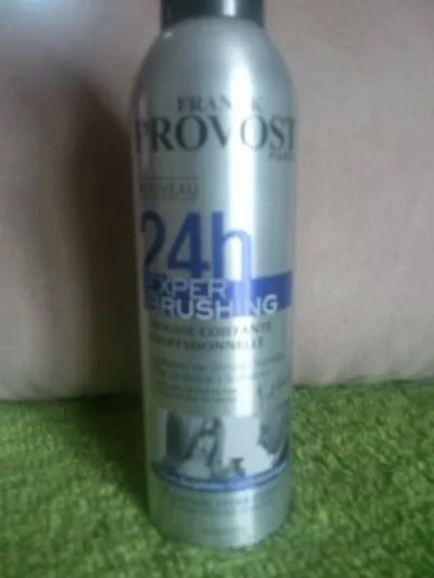 Mousse coiffante 24h Expert Brushing, Franck Provost