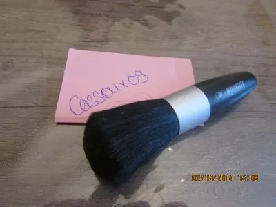 Pinceau, Modélite