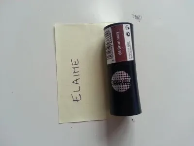 Rouge à lèvres brun sexy (n°66), Bourjois