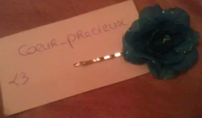 Barrette rose, Claire's