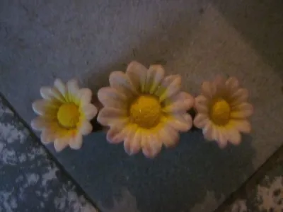 Pince fleurs, Inconnue