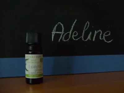 Huile essentielle d'eucalyptus globuleux bio, Aroma-Zone